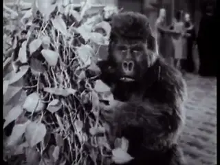 Frame at 32:31, shot 159
