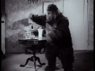 Frame at 33:51, shot 167