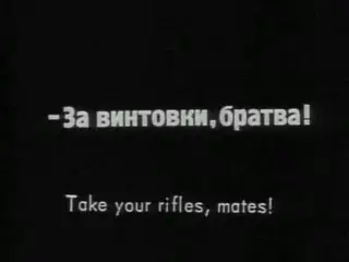 shot 338