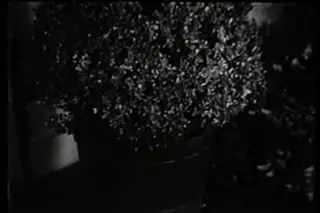 Frame at 25:27, shot 418
