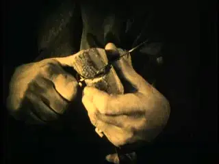 shot 367