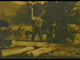 shot 198