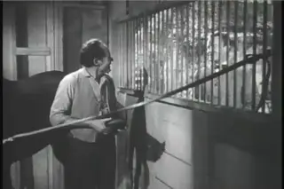 shot 198