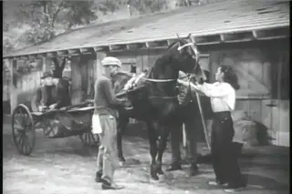 shot 1914