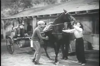 shot 1917