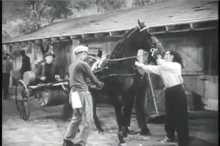 shot 1919