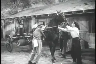 shot 1920