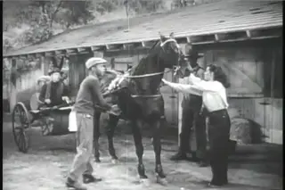 shot 1921