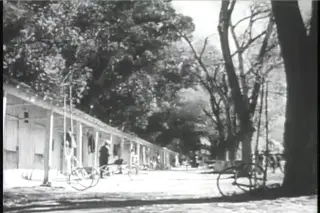 shot 1926