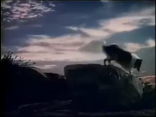 shot 8