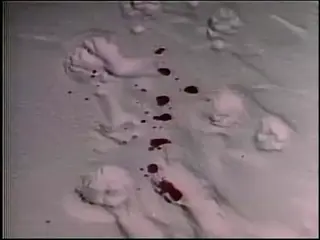 shot 500