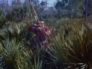 shot 308
