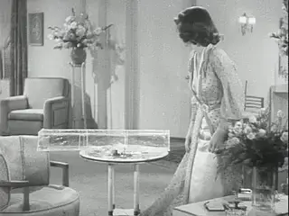 Frame at 11:07, shot 39