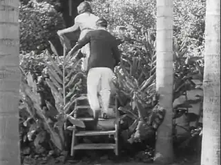 Frame at 27:41, shot 105