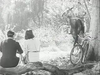 Frame at 29:05, shot 110