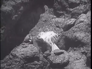 Frame at 21:23, shot 177