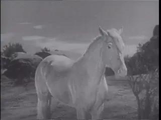 Frame at 28:11, shot 251