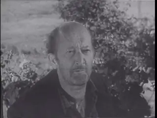 Frame at 33:24, shot 290