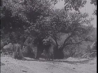 Frame at 51:41, shot 372