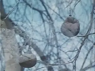 Frame at 2:53, shot 17