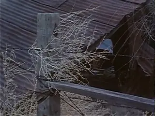 Frame at 3:08, shot 19