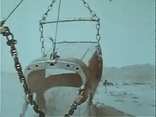 Frame at 8:00, shot 66