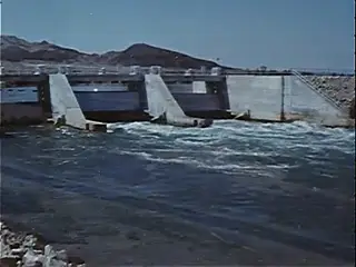 Frame at 24:46, shot 223