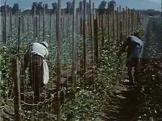 Frame at 26:08, shot 228