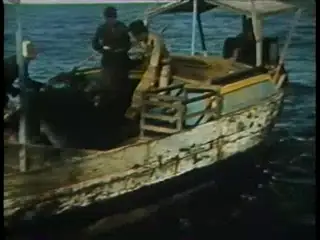 Frame at 4:33, shot 33