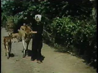 Frame at 4:59, shot 37