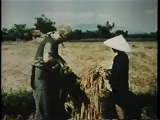 Frame at 22:04, shot 190