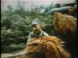 Frame at 22:24, shot 192