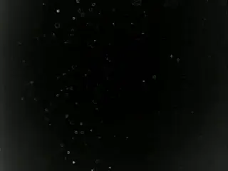 shot 1