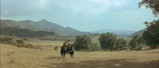 shot 35