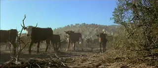 shot 38