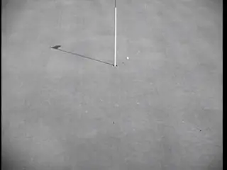 shot 354