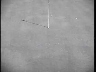 shot 355
