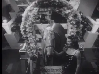 shot 458