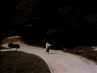 shot 41