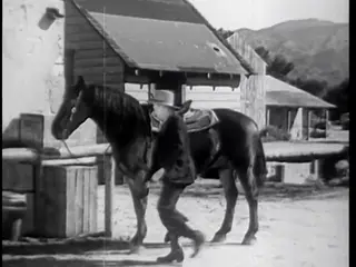 Frame at 2:44, shot 23