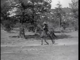 Frame at 3:18, shot 31