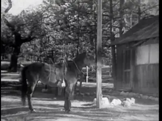Frame at 4:13, shot 41
