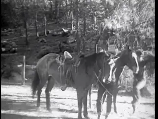 Frame at 5:21, shot 59