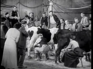Frame at 34:51, shot 358