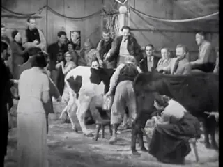 Frame at 35:11, shot 362