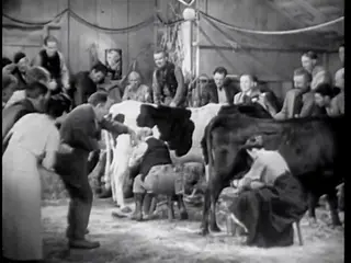 Frame at 36:45, shot 378