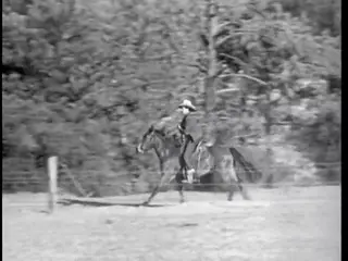 Frame at 40:44, shot 419