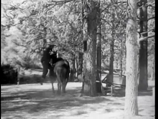Frame at 41:07, shot 424