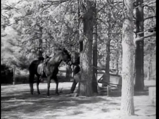 Frame at 41:13, shot 425
