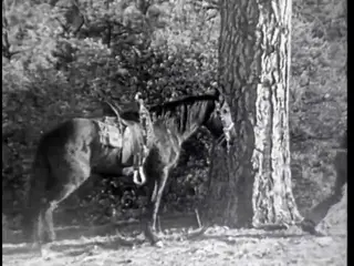 Frame at 41:24, shot 427